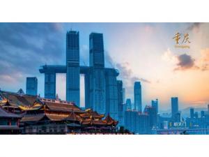 中農(nóng)穎泰集團助力2021·太陽鳥論壇盛大開幕！