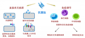 泰倍健——新型免疫增強劑，構(gòu)建核心抗病力